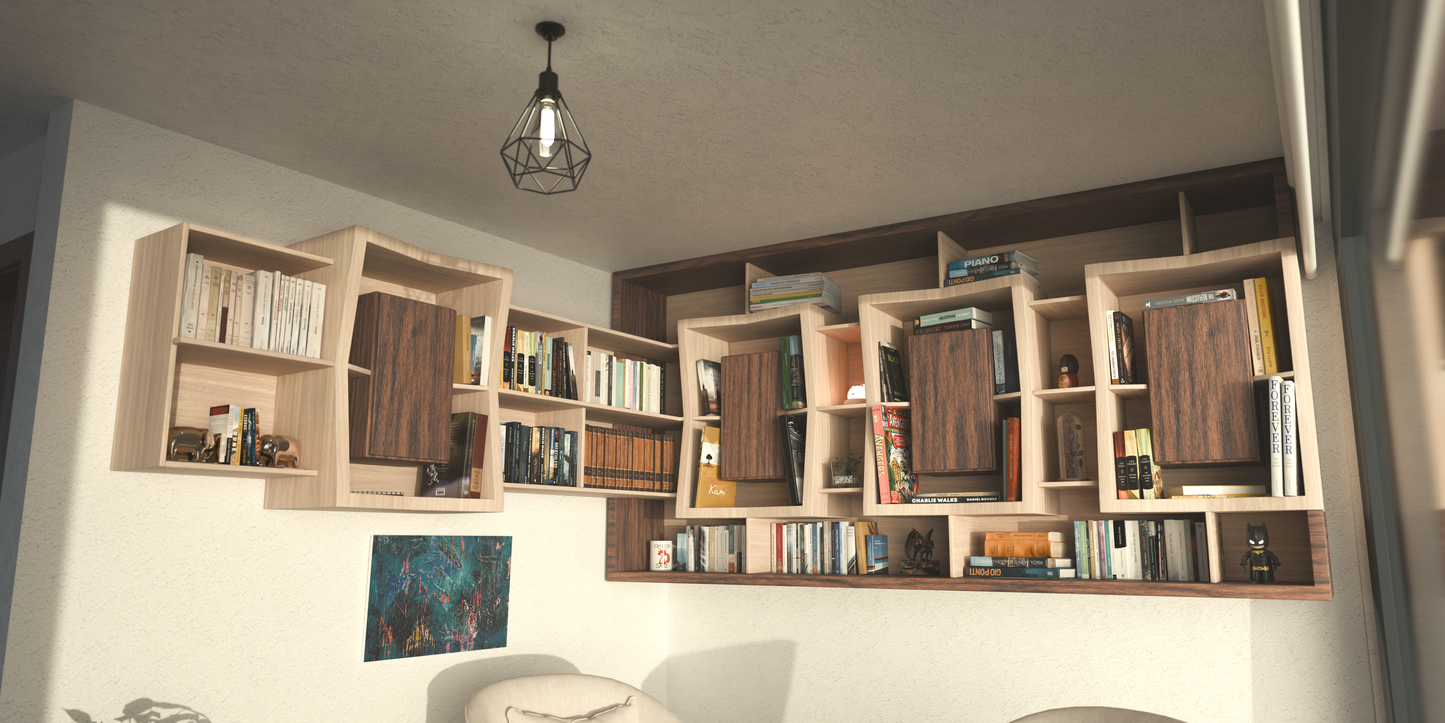 Librero ¨marco de libros¨