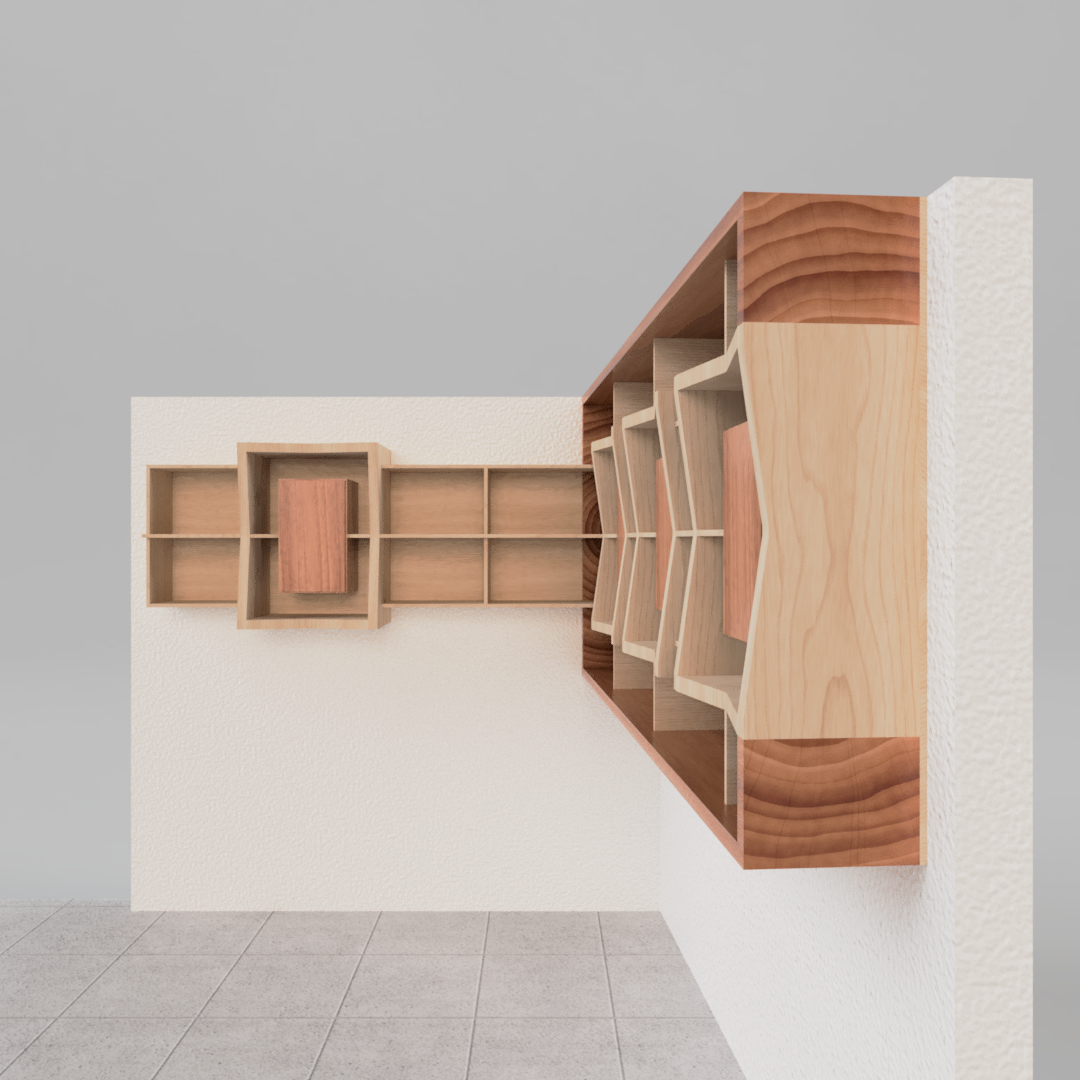 Librero ¨marco de libros¨
